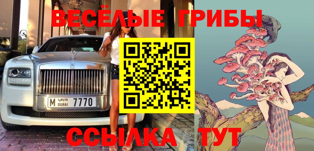 Псилоцибиновые грибы Psilocybine cubensis Избербаш