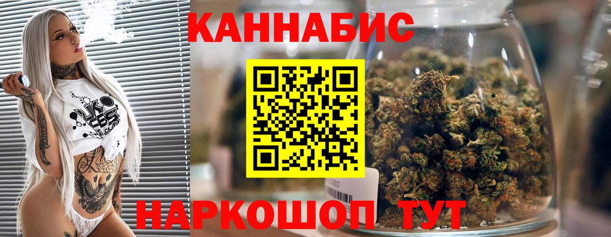 Марихуана сатива Избербаш